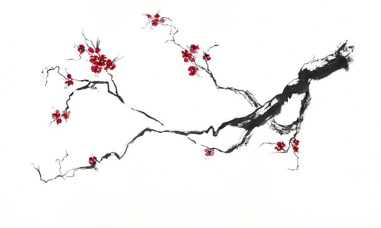 cherry-blossom.jpg (900×538)