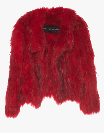 Red Raccoon Fur Coat, HD Png Download - kindpng