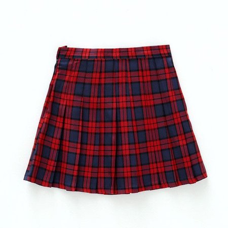 Red & Blue Plaided Skirt