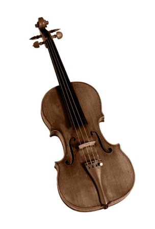Violin or Fiddle
