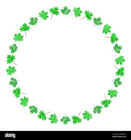 maple-leaf-circle-frame-green-abstract-round-border-spring-leaves-made-by-circles-vector-design-for-springtime-banner-or-background-2GPE5G2.jpg (1300×1390)