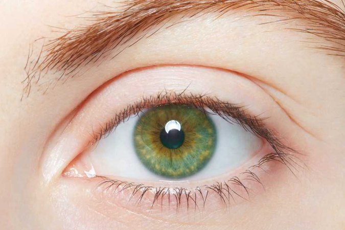 Green Eye (Female)