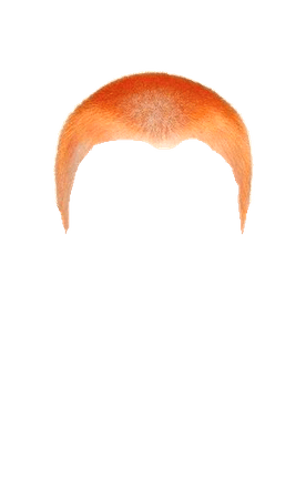 Orange Buzzcut 3 (Dei5 edit)