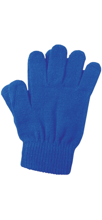 blue gloves