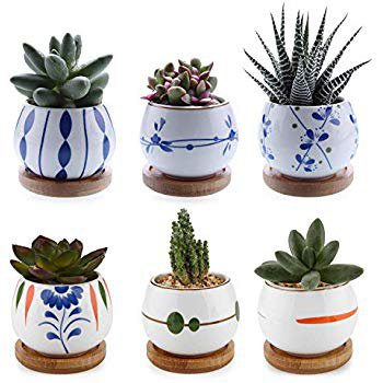 Amazon.com: Succulent Plant Pots - 3.2 inch Ceramic Succulent Planter - Small Cylinder Flower pots for Cactus with Drainage Hole and Bamboo Tray, 6 Pack.: Garden & Outdoor
