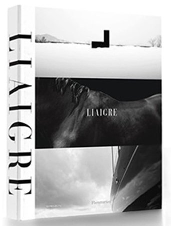 Liaigre coffee table book