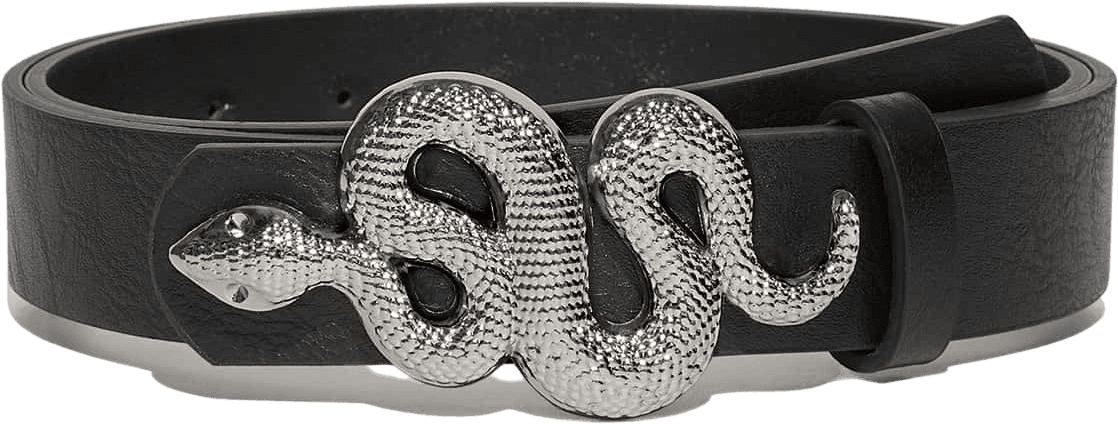 black and silver snake belt