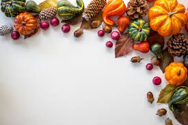 fall harvest - Google Search