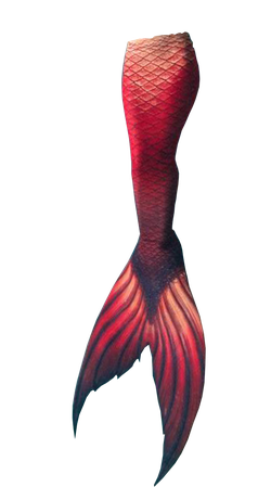 mermaid tail png - Google Search