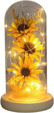 Amazon.com: Artificial Sunflower in Glass Dome Enchanted Sunflower Lamp Sunflower Decors Sunflower Gifts for Her on Christmas Thanksgiving Day Valentine's Day Mother's Day Anniversary Birthday – Yellow : Home & Kitchen