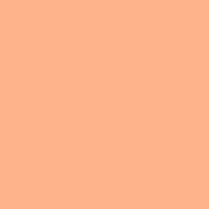light sherbet orange