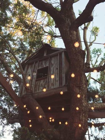 Treehouse discovered by Bri on We Heart It