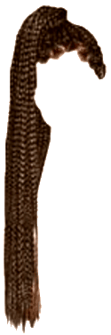 Brown Box Braid High Ponytail (Dei5)