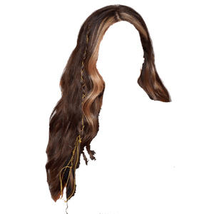 BROWN HAIR WITH BLONDE BANGS PNG