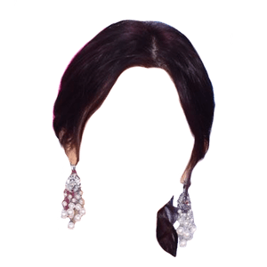 Dark Brown Hair Black PNG Low Ponytail