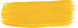 11 Yellow Paint Brush Strokes (PNG Transparent) | OnlyGFX.com