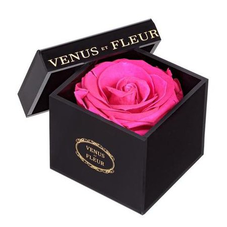 Single Eternity® Rose In Black Box - Buy Lé Clair™ Boxed Roses Today | Venus ET Fleur