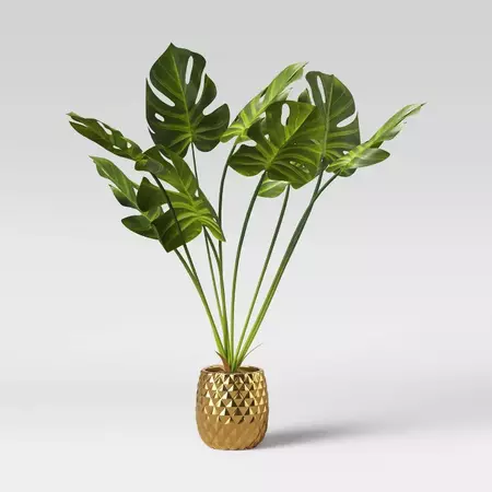 Potted Palm Leaf Plant - Opalhouse™ : Target