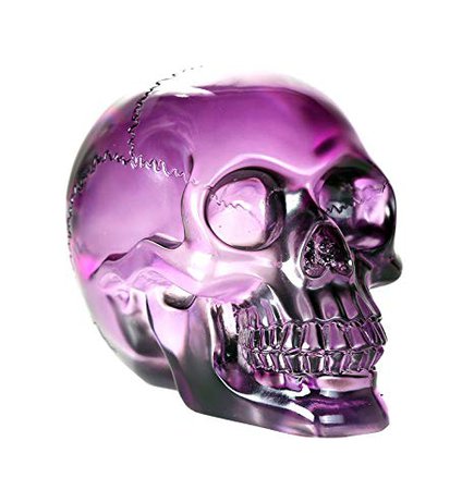 Pacific Giftware Crystal Clear Translucent Skull Collectible Figurine 4.5 Inch (Purple): Home & Kitchen