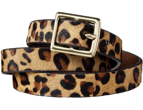cheetah belt