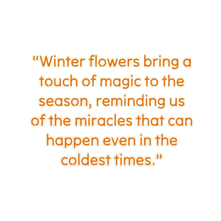 Flowers Quote