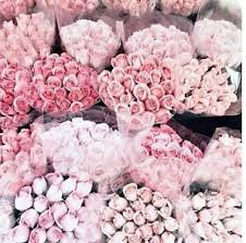 pale pink aesthetic - Google Search