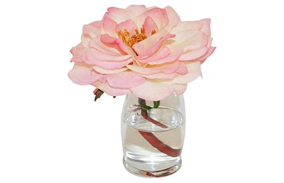 rose jar