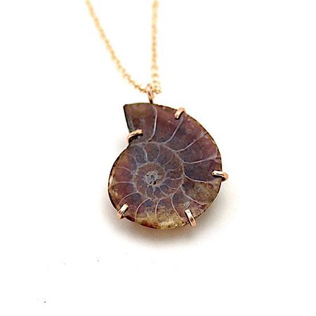 Ammonite Fossil Necklace – Alana Douvros Jewelry