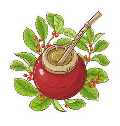 Mate tea - traditional hot drink from yerba herb Vector Image