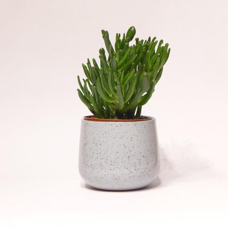 Ceramic speckle glazed planter | Etsy