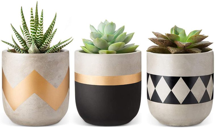 Mkono Cement Succulent Planter Set of 3 Concrete Plant Pots Modern Flower Pots Indoor for Cactus Herb or Small Plants Home Decor Gift Idea (Plants NOT Included), 4" : Home & Kitchen