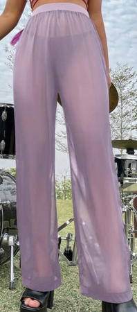 purple sheer shiny pants
