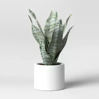 8" X 5" Artificial Snake Plant In Pot - Project 62™ : Target