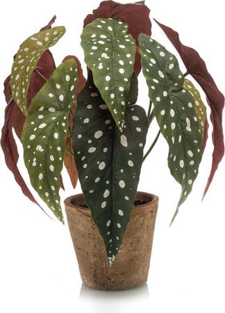 bol.com | Kunstplant Begonia maculata 33 cm