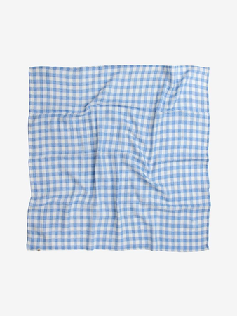 blue and white picnic blanket