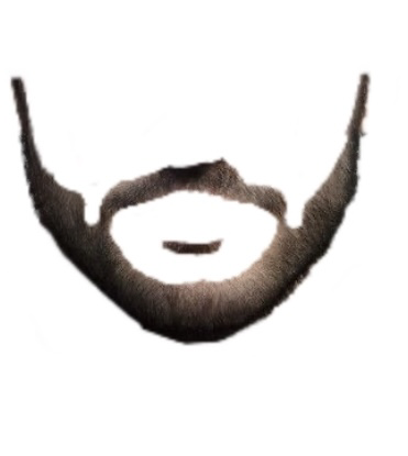 Beard Pinterest