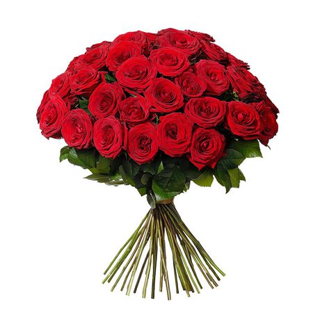 40 röda rosor - Beställ på interflora.se | Interflora Rosor