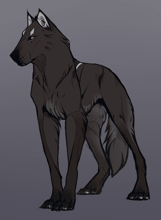 dog-wolf fantasy