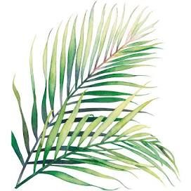 fern and palm leaves - Google Search
