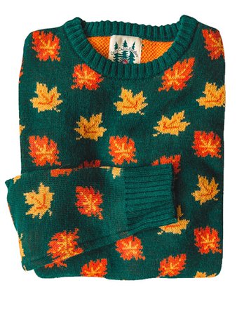 Autumn sweater