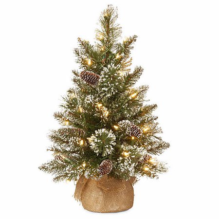 National Tree Co. 24in Glittery Bristle Pine Pre-Lit Christmas Tree