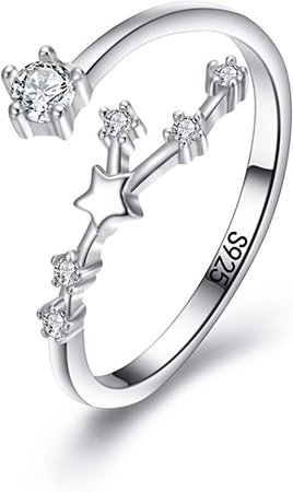 Amazon.com: EleQueen"Taurus" Women's 925 Sterling Silver Cubic Zirconia Horoscope Zodiac 12 Constellation Pendant Necklace: Jewelry
