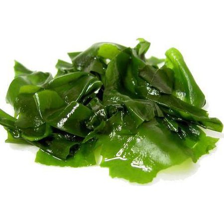 wakame japanese seaweed salad