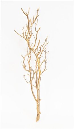 gold branch