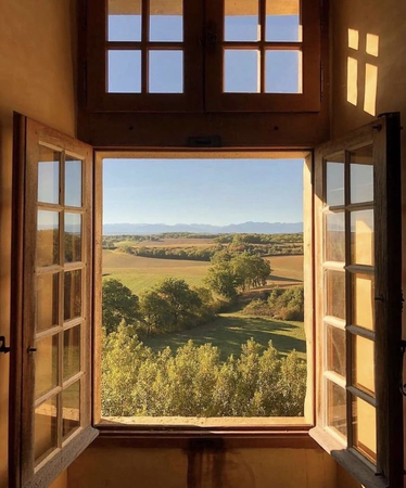 vineyard window