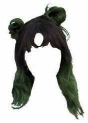 PicsArt EditorBlack and Green Ombre Hair 2 (Heavenscent Edit)