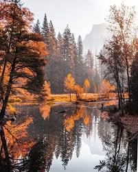 fall aesthetic photo - Google Search
