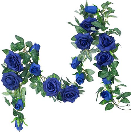 Blue Rose Vine