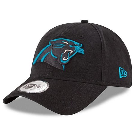 panthers hat