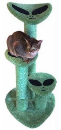 alien cat post png